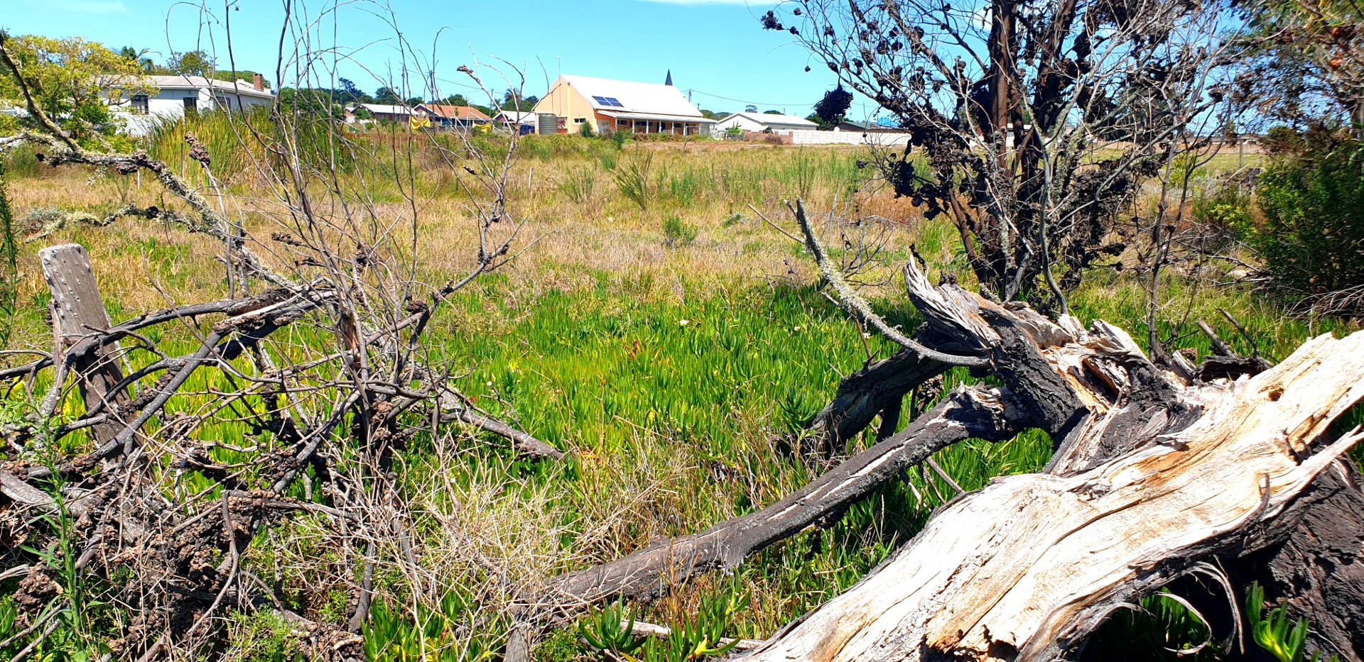  Bedroom Property for Sale in Albertinia Western Cape